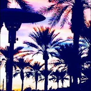 Meet your Posher, Addy